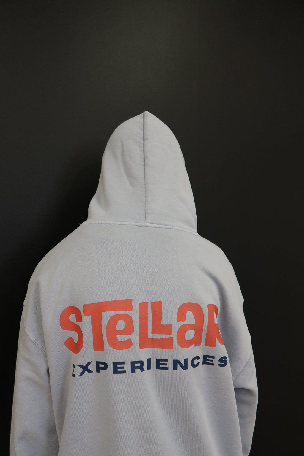 Esplanade Hoodie Mens Faded Powder 3