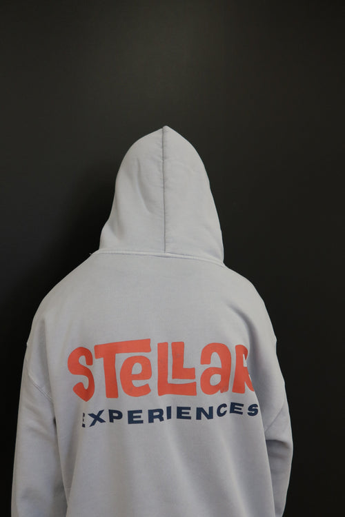 Esplanade Hoodie Mens Faded Powder 3
